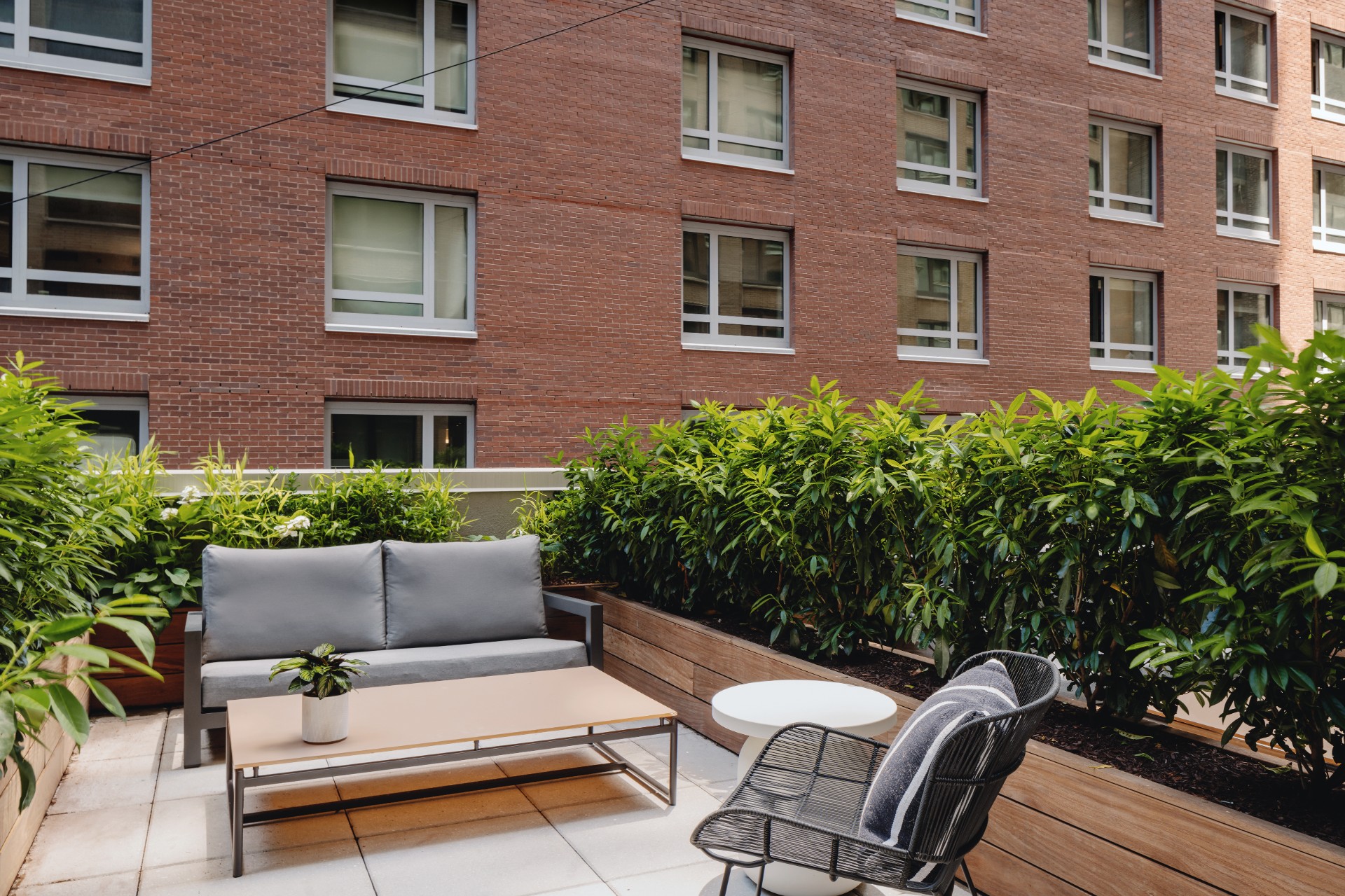 Terrace King - Image 4